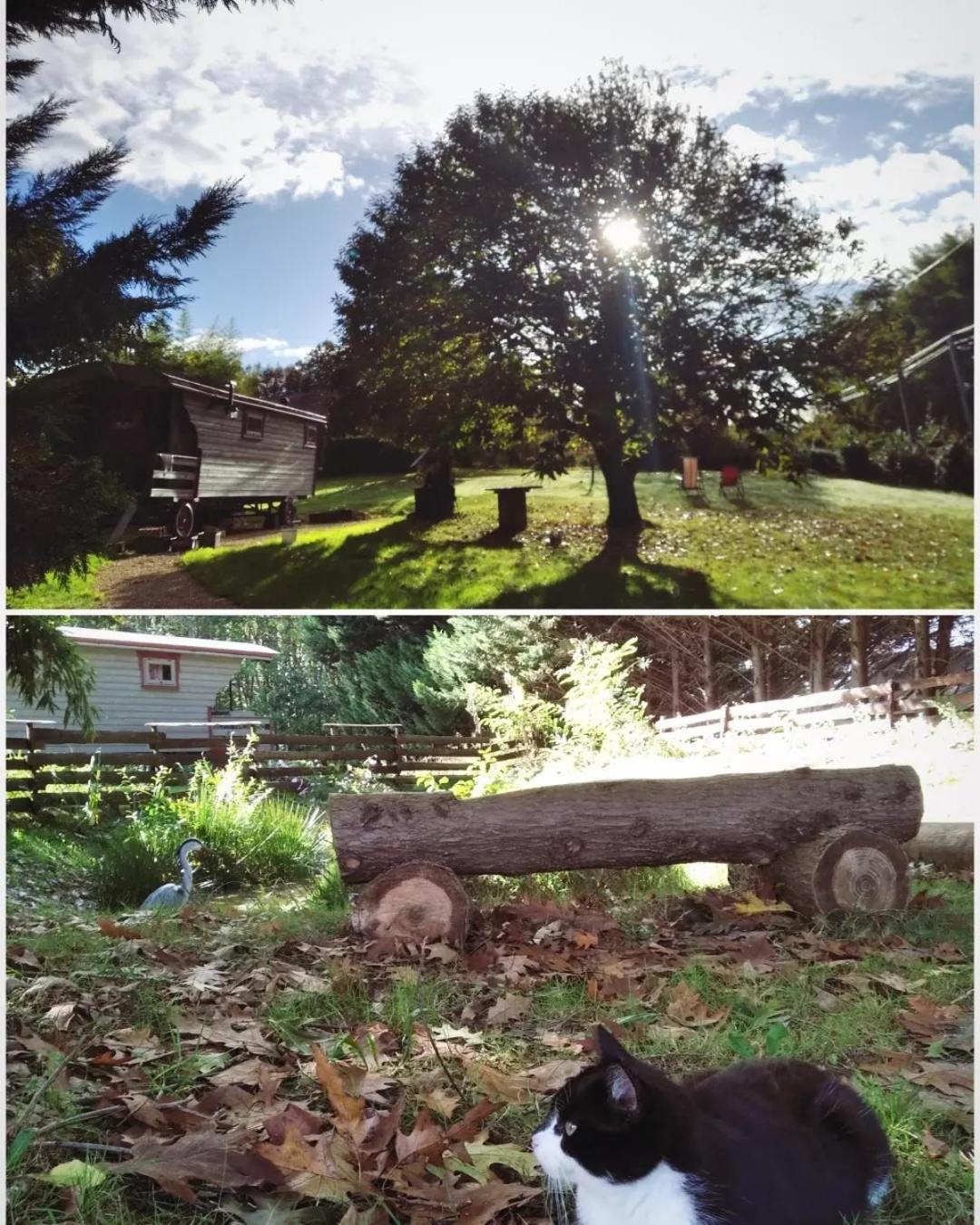 Tente Trappeur Ada, Au Jardin De La Vouivre Saint-Vincent-en-Bresse Exterior foto